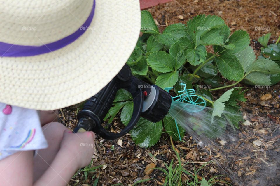 Watering the garden