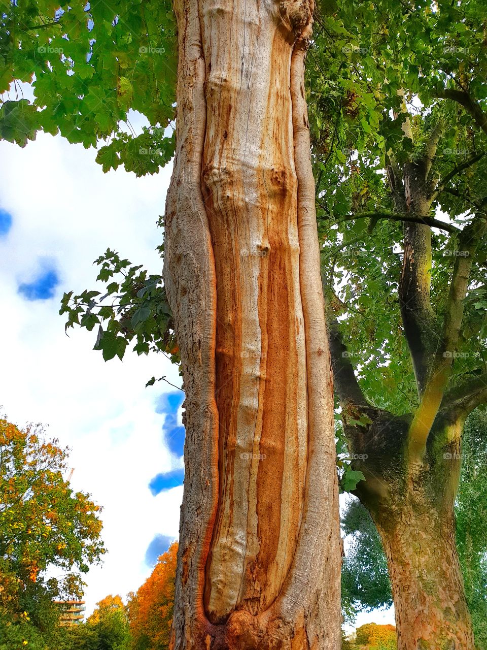 Fall Vibes In Full Swing