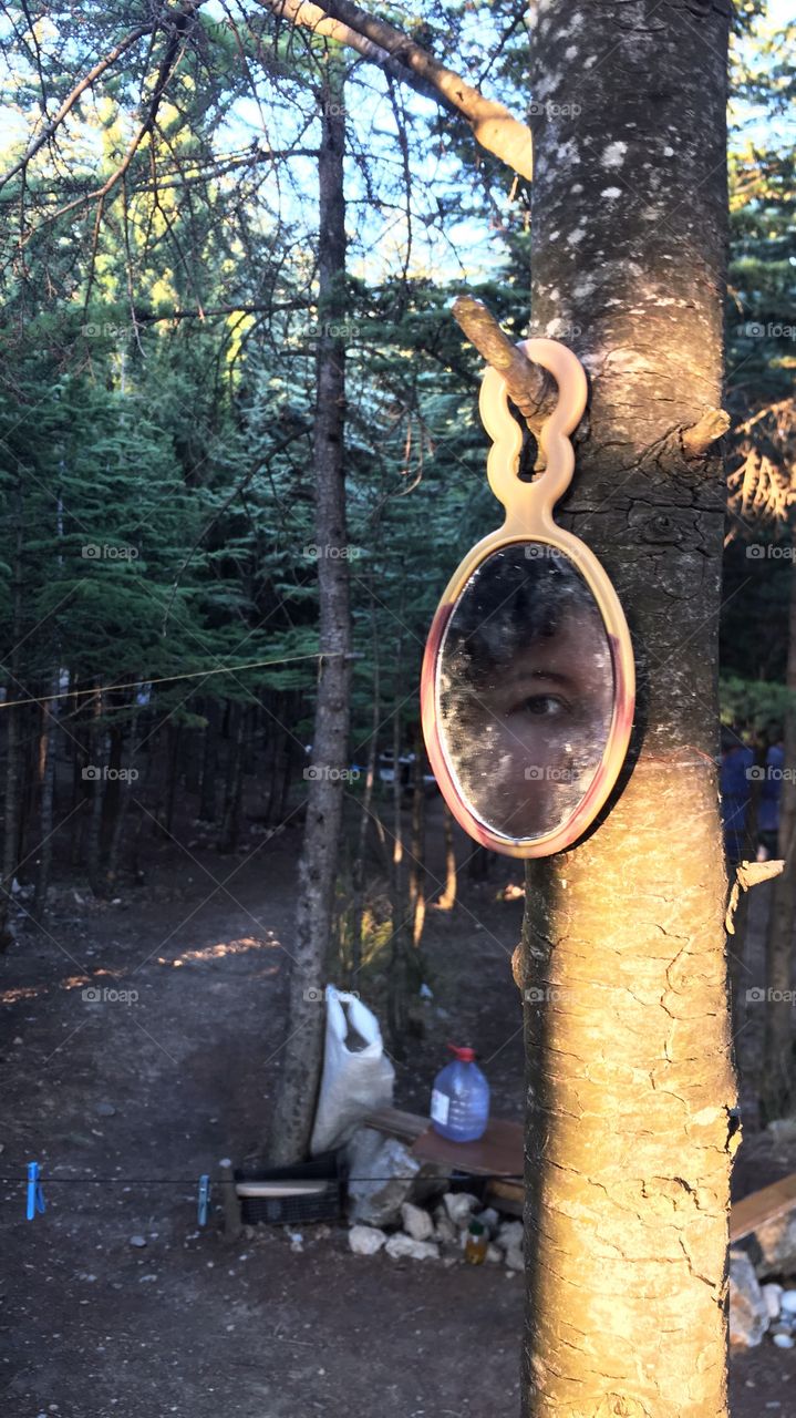 Face in the mirror in the wood 