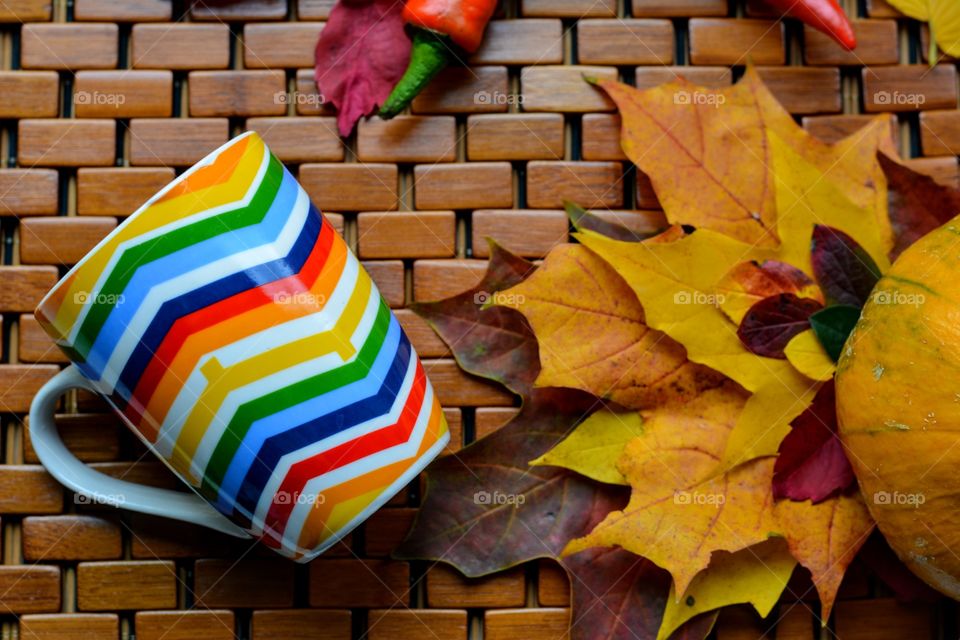 colorful cup and autumn leaves love colors