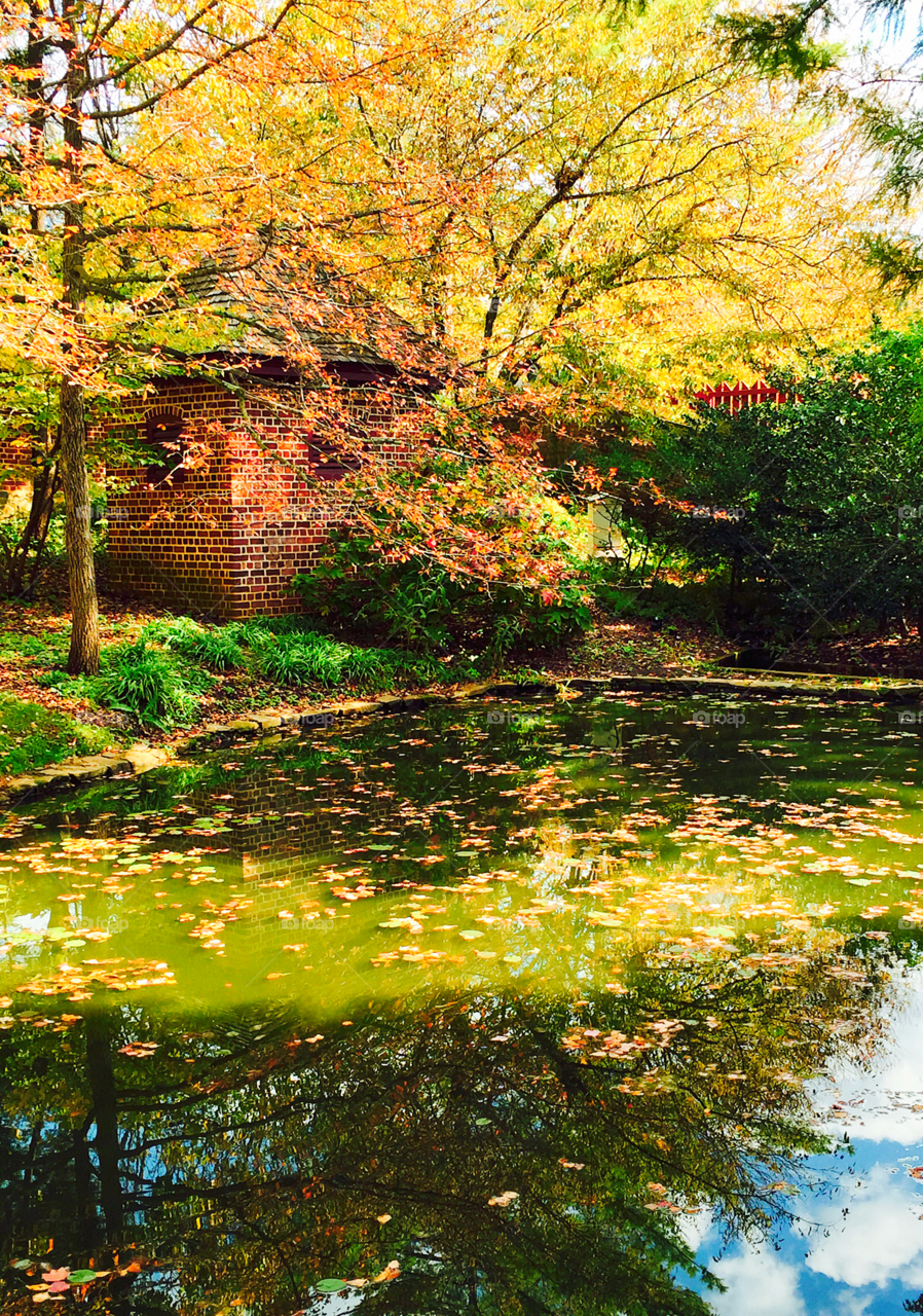 Small lake in the fall with a small brick building in the background. Yellow, orange, and green leaves. 