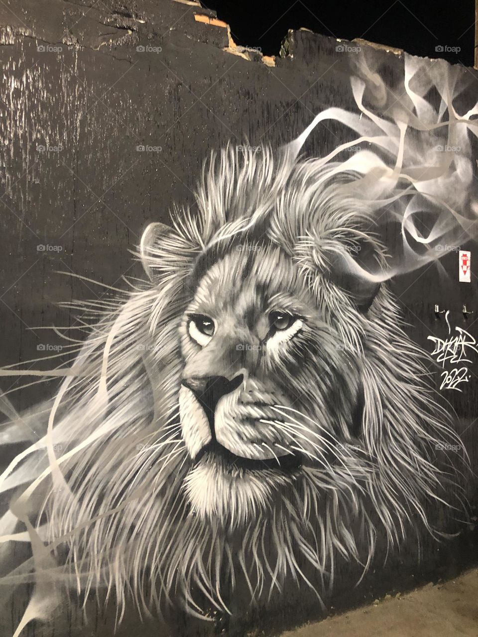 Lion. Arte urbana.