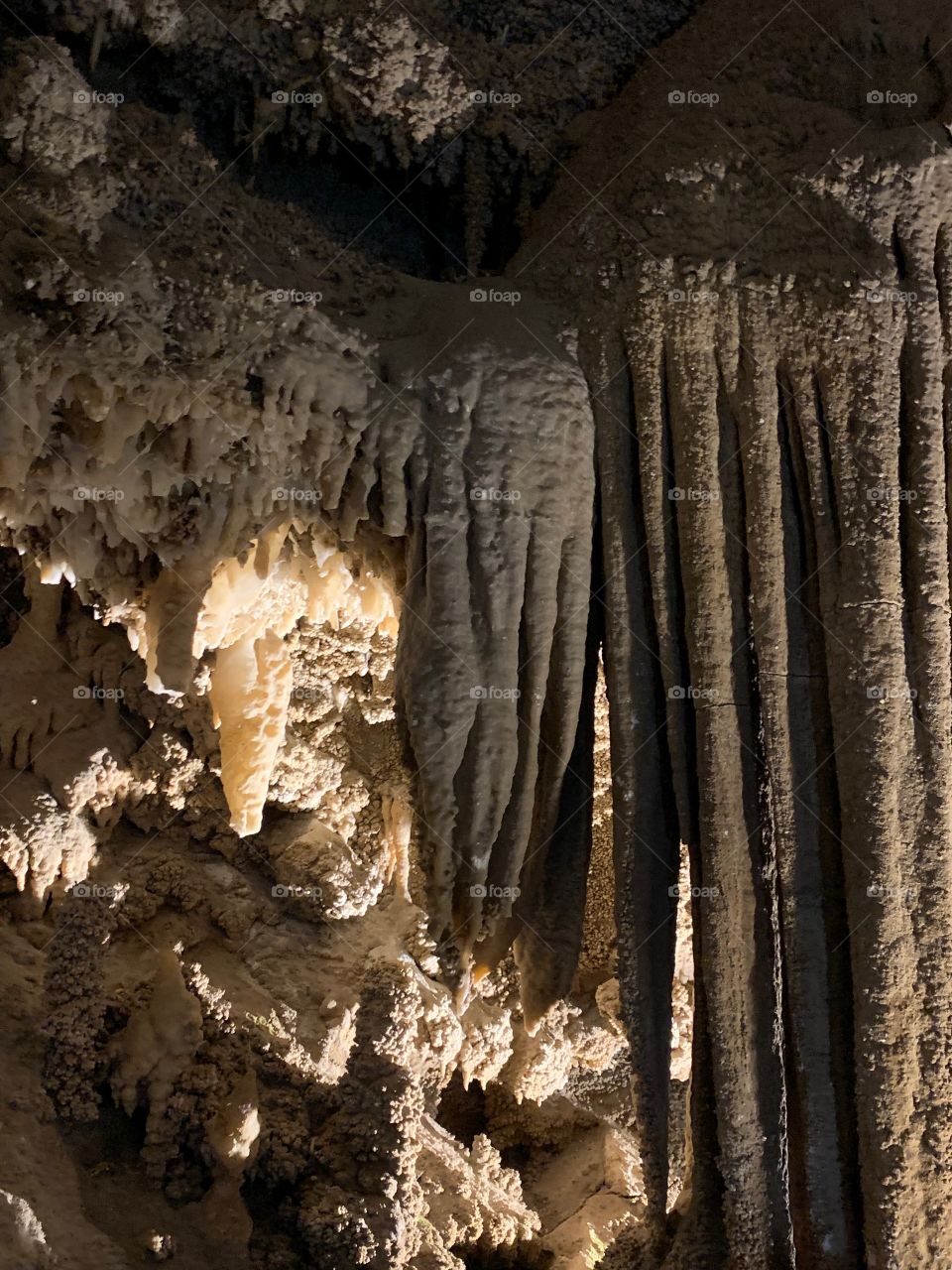 Lake Shasta caves 