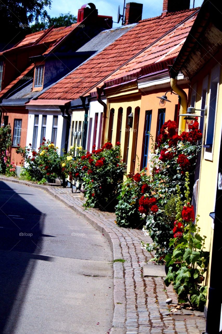 Flowers street 