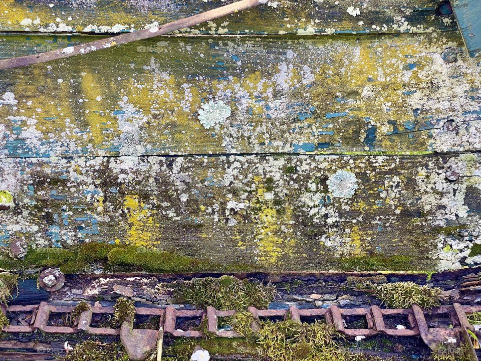rusty metal and some weathered wood covered in lichen from a piece of old farm equipment