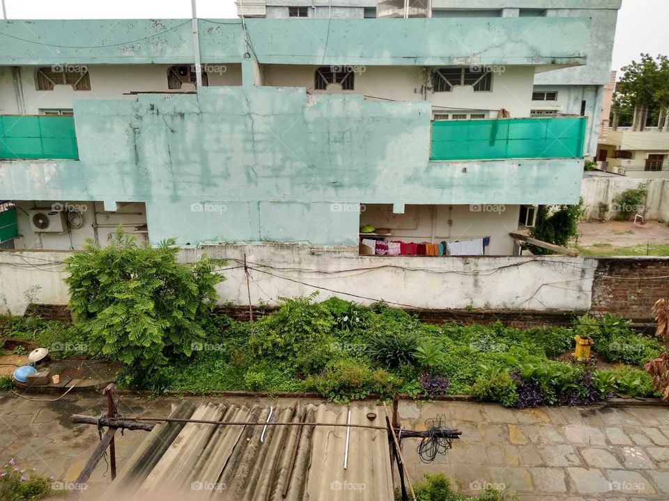 garden in my neighbour house