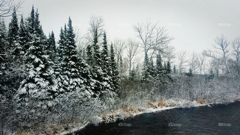 Winter, Snow, Frost, Landscape, Cold