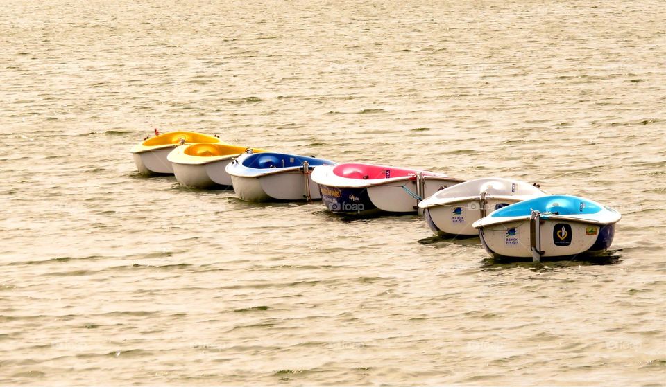 rowing boat line