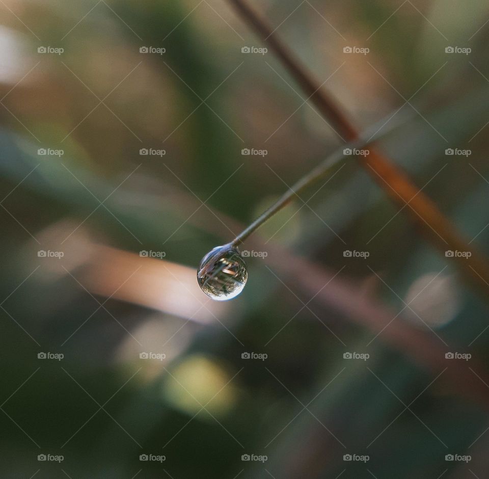 A drop of dew on the grass