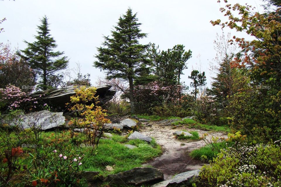 Summit Garden