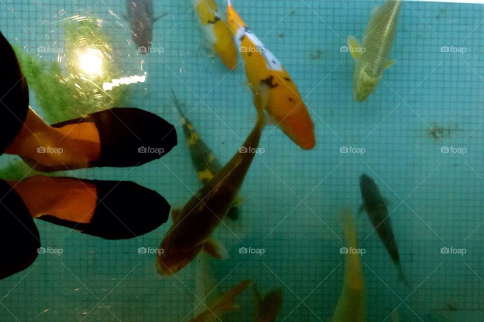 Awesome feet selfies 