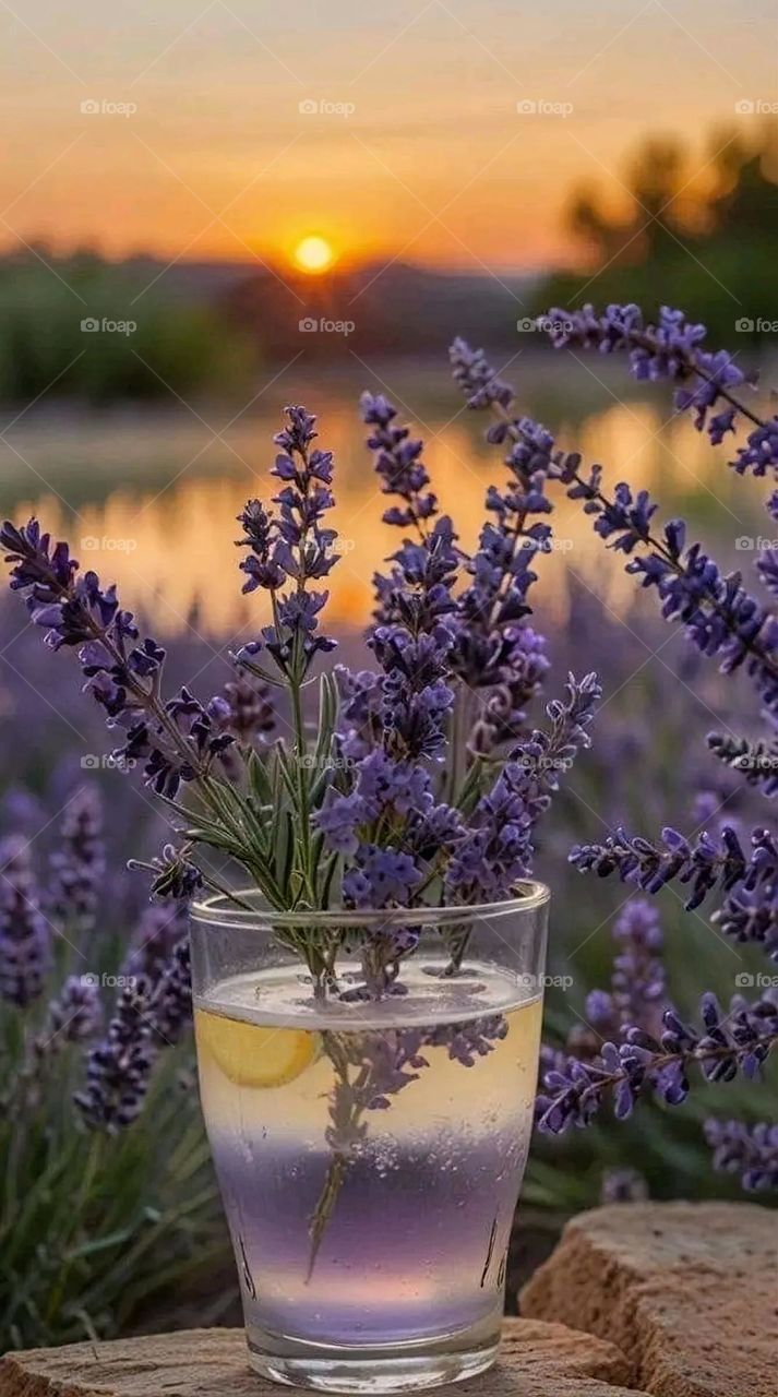 A very beautiful picture, and there is no better picture than it. There is no better picture of green herbs and colorful, red and white roses than it. Glory be to God, the natural and picturesque view, and there is no more