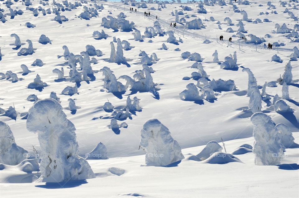 Winter in the mountains