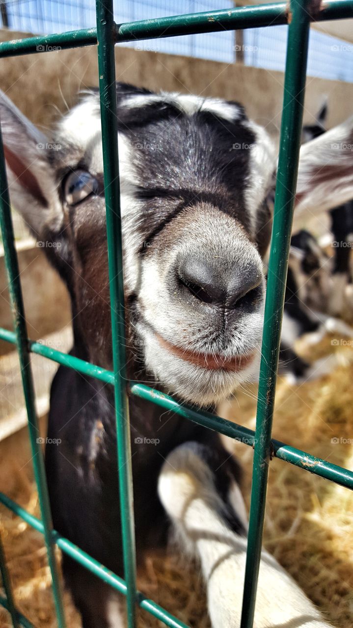 Up Close and Personal