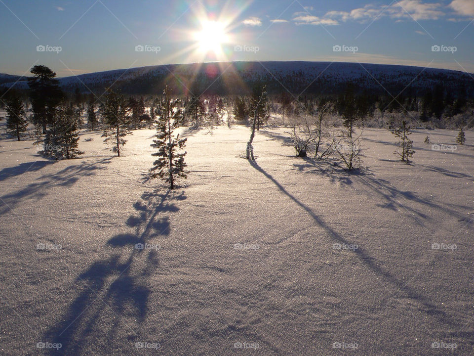 snow winter sweden sun by kallek