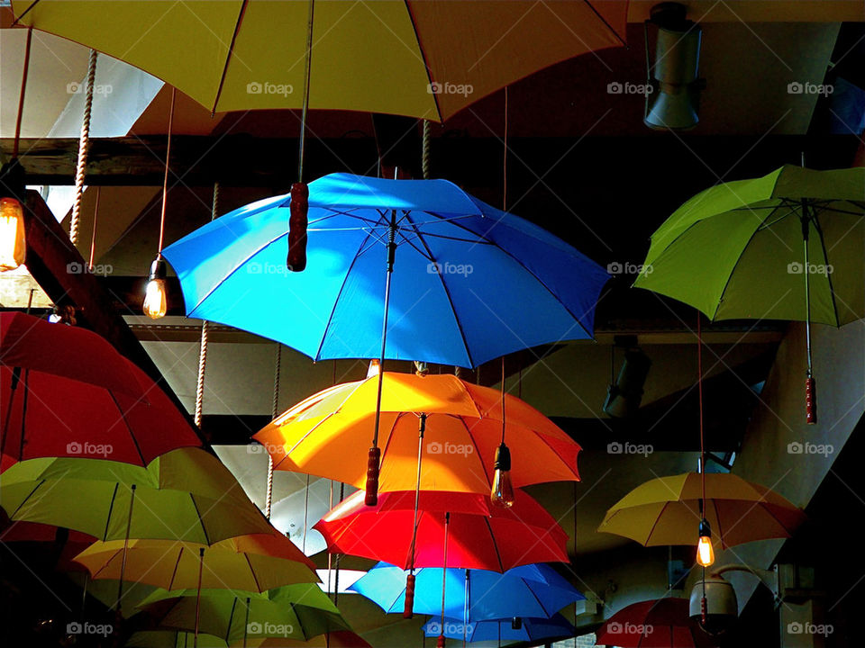 AN UMBRELLA FOR EVERY DAY