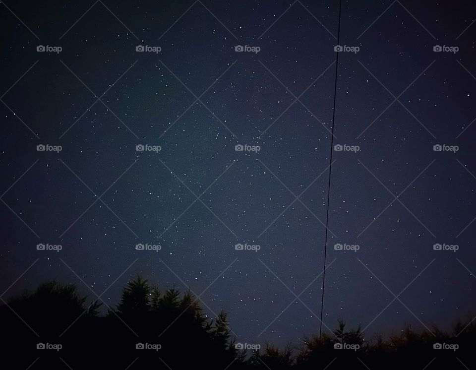 Exploring night and nature