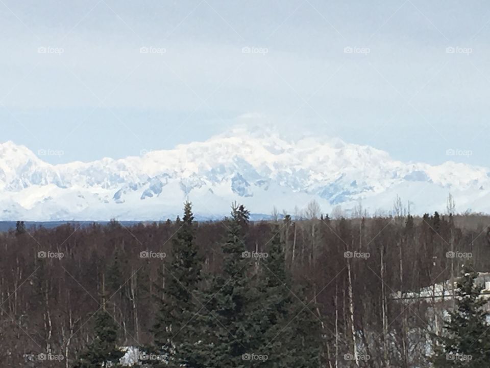 Alaska 