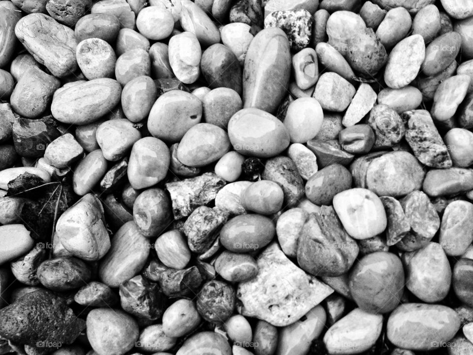 Wet pebbles in gray tones