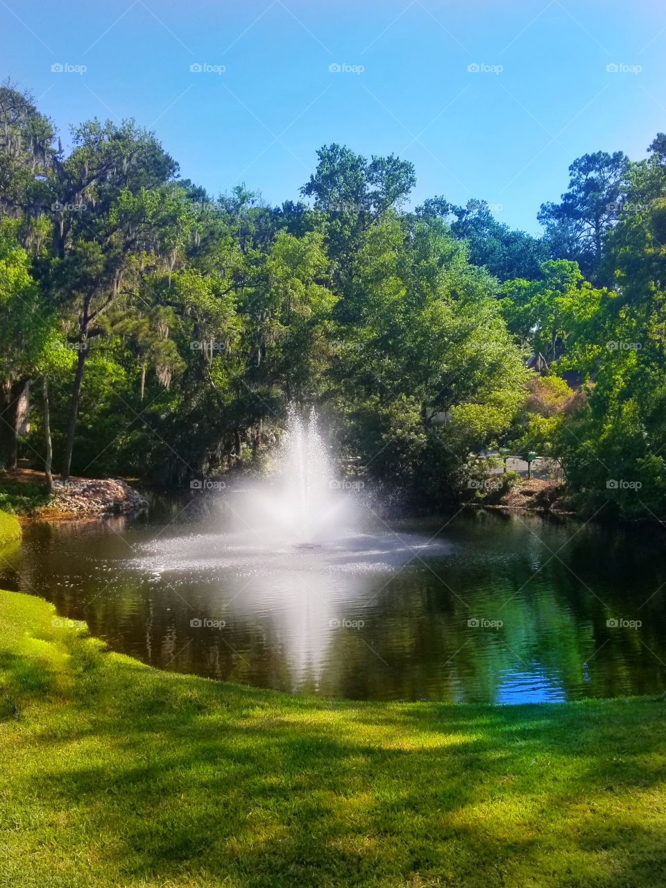 Hilton Head island