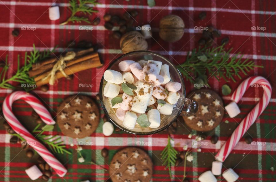 Cup of cocoa and cookies