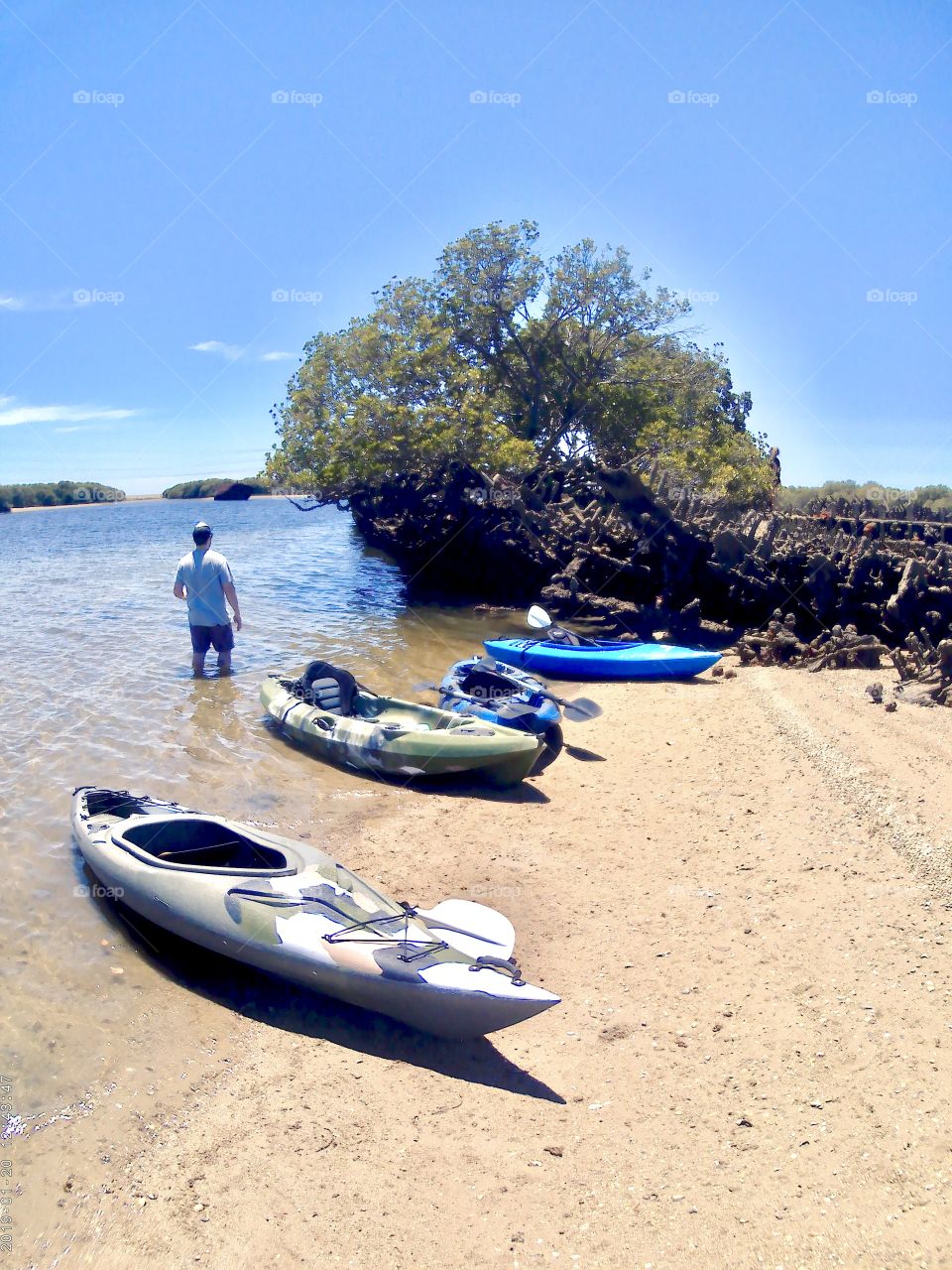 Kayakers taking a cooling wade around an old shipwreck overgrown with mangroves