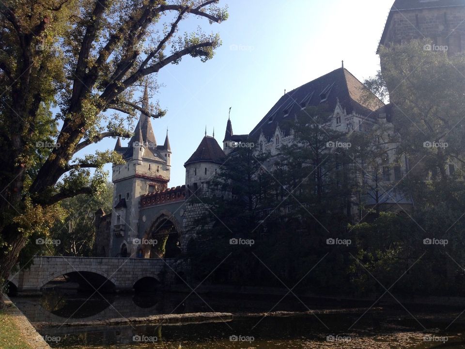 Budapest castle side view