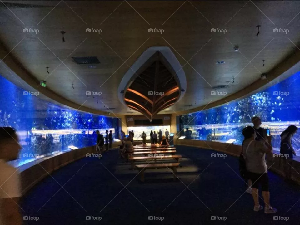 oceanografic
