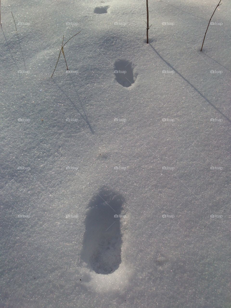 walking on snow