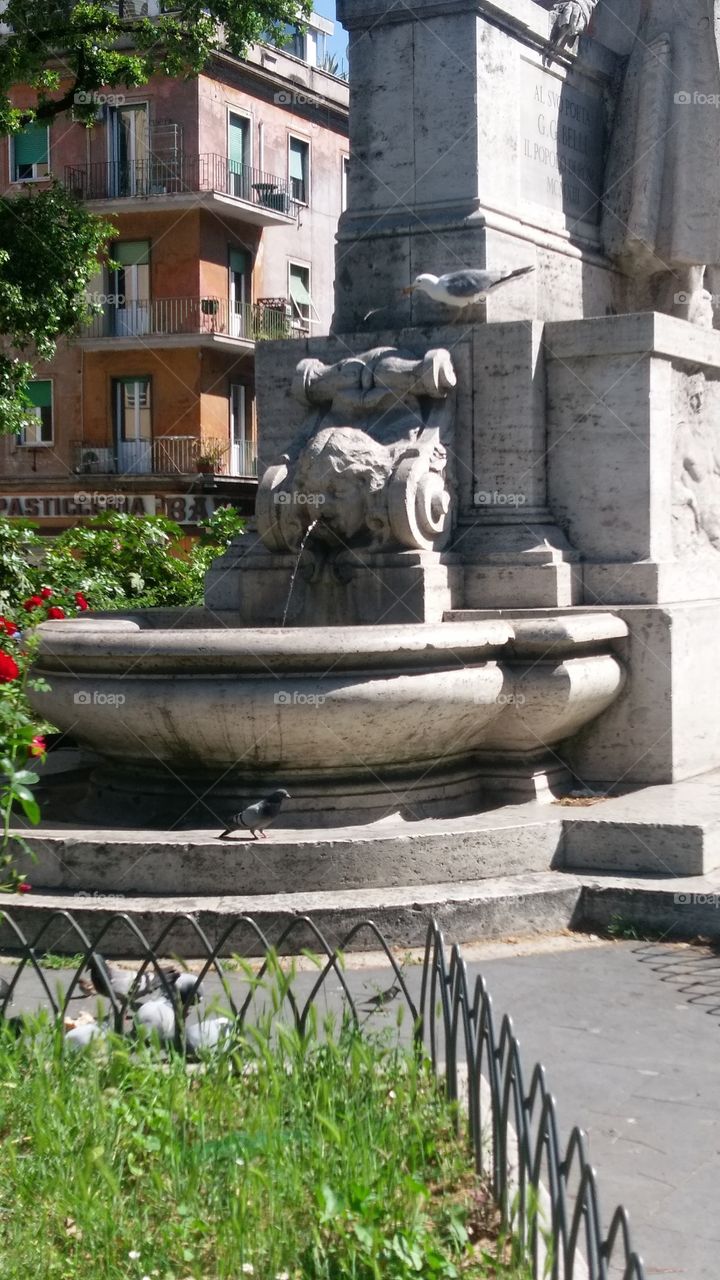 fountain