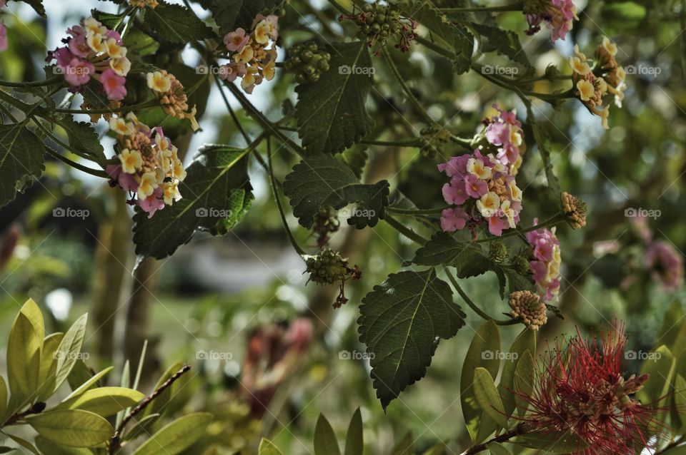 Travel: Zakynthos, Greece