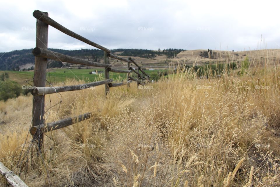 Landscape, Nature, No Person, Fence, Grass