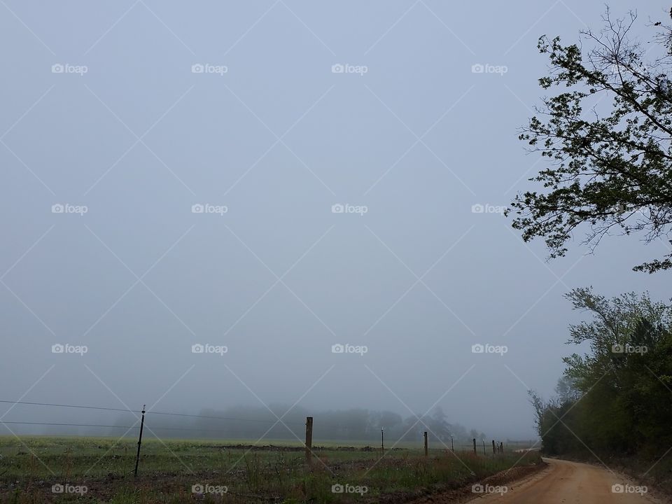 foggy country road