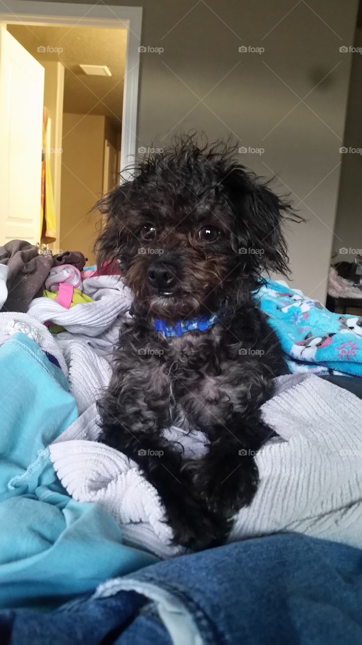 Just wanted to to help because these clothes are so warm