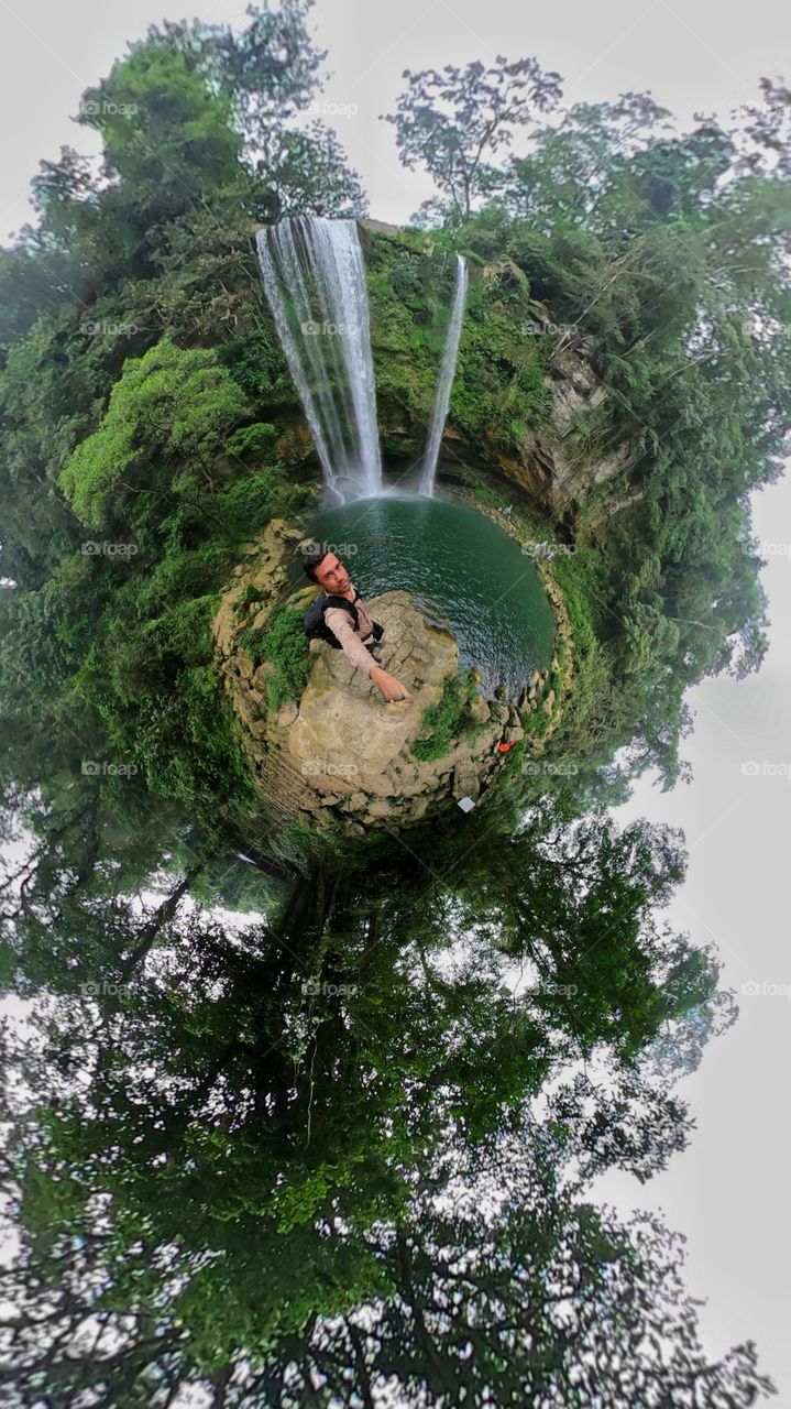 Water, Tree, Nature, Summer, Leaf