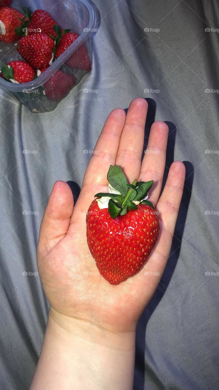Strawberry 
