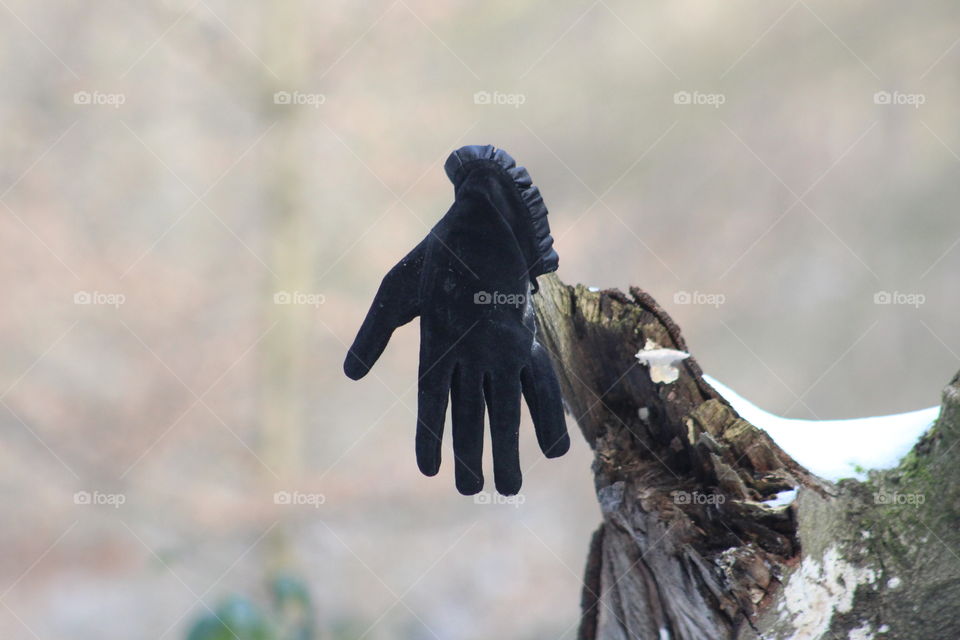 Forgotten glove