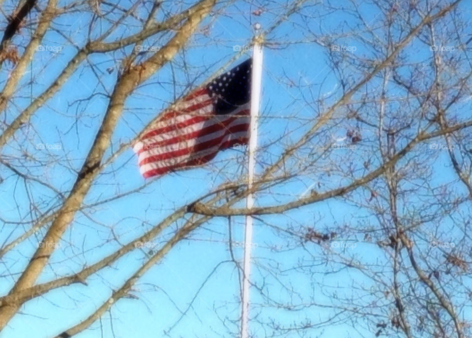 flag america patriotic by Quincy