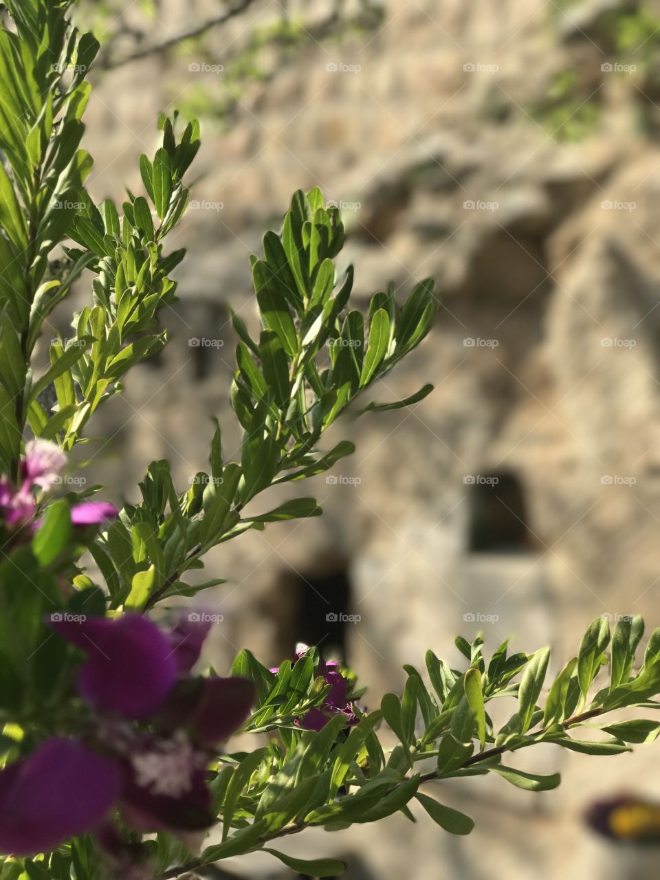 The Garden - The Empty Tomb in Jerusalem, Israel 