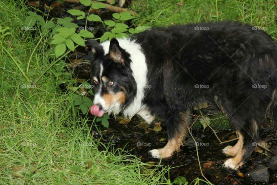 Stopping For A Drink