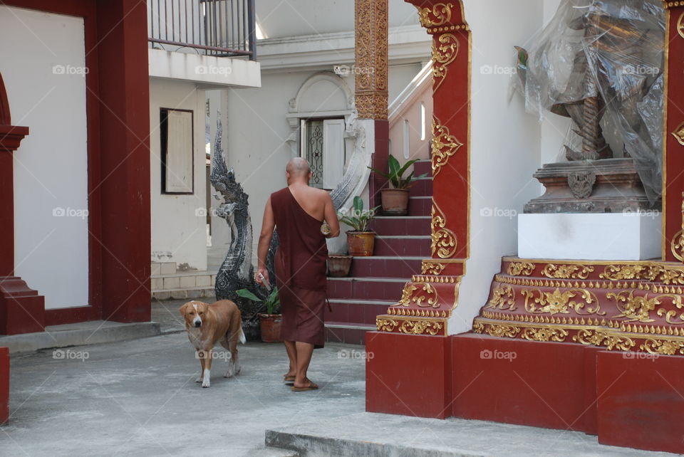 Monk and dog at the temple 