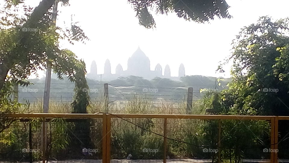 Taj of Jodhpur