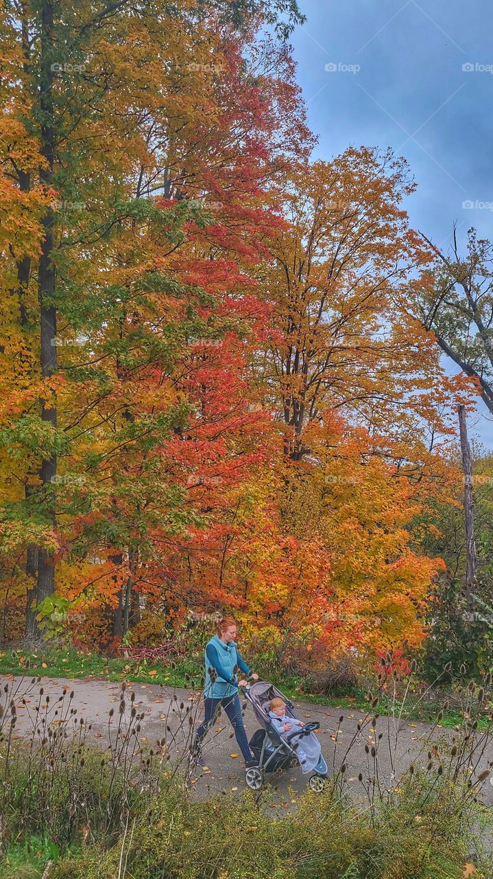 Walking the baby in a fall day...