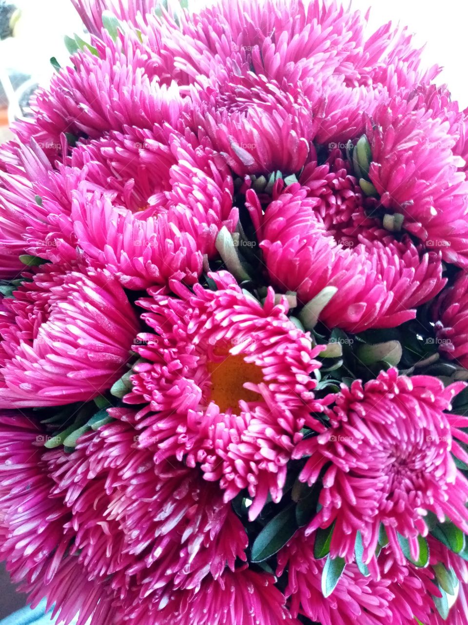 Осенние цветы