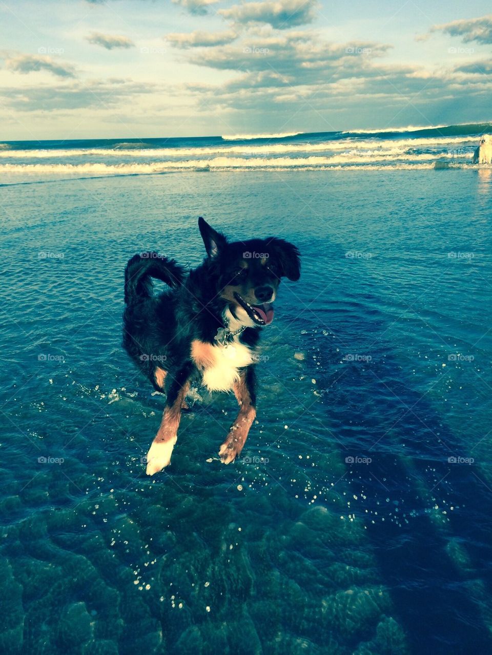 First time in the ocean