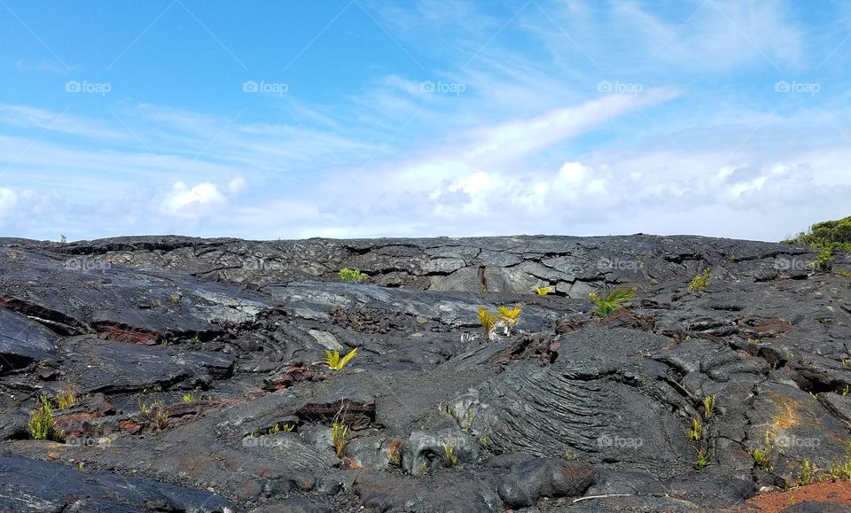 Hardened lava flow in the big island of Hawai'i,  Hawaii