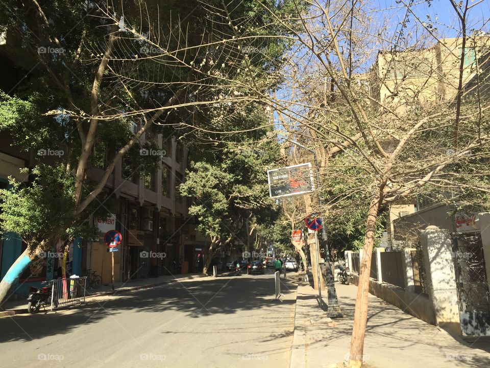 A Street in Zamalek, Cairo, Egypt 