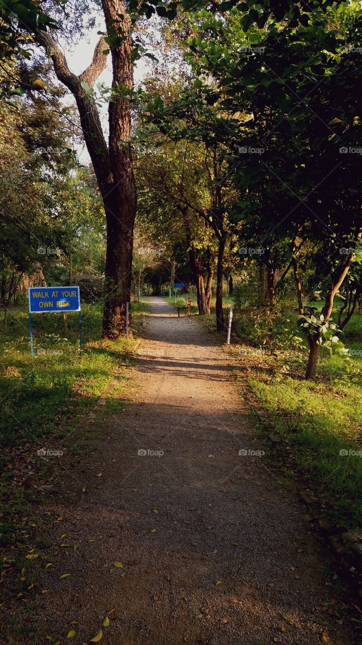 Islamabad Club Walking Track

Islamabad, Pakistan.