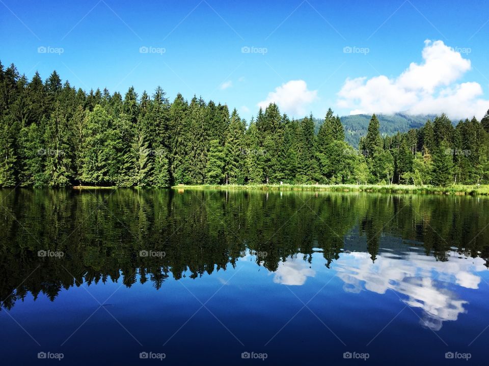 Forest reflecting on idyllic lake