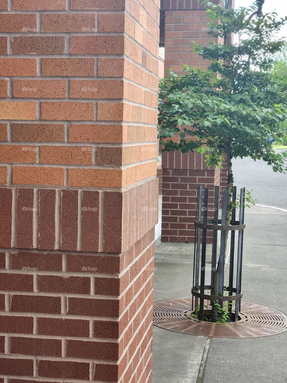 brick column and caged tree in outdoor shopping center